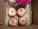 京鲜生 烟台红富士苹果 4个一级铂金果 单果160-190g 简装 生鲜水果 实拍图