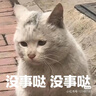 真维斯冰丝牛仔裤女2025春夏季薄款高腰直筒宽松阔腿裤天丝垂感拖地裤子 浅蓝色九分(建议身高158CM以下) XS (建议86斤以下) 实拍图