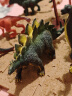 勾勾手 儿童玩具恐龙玩具仿真模型男孩霸王龙野生动物套装12只装+32场景 实拍图