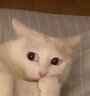 猫人（MiiOW）五分瑜伽裤 外穿女春秋薄款高腰收腹提臀裤芭比瑜伽骑行打底短裤 实拍图