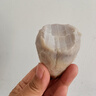 山胖子新鲜现挖农家毛芋头香甜软糯奶芋小香芋芋艿山东特产健康早餐 牛奶芋头中果3斤（单果40g-60g） 实拍图