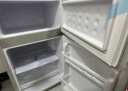 夏新43L冰箱小冰箱 双门迷你小型电冰箱 家用租房冷藏冷冻节能电冰箱 【43升-一级能效-闪亮银】 实拍图