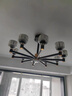 雷士（NVC）美式轻奢智能护眼丽影吊灯舒适光客厅吊灯餐厅吊灯灯具灯饰套餐 10+风扇灯 清凉套餐【三室两厅】 实拍图