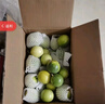 探味君 广西钦蜜9号黄金百香果 特大果纯甜西番莲新鲜水果 5斤 净重4.5斤【5-7个/斤】 实拍图