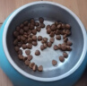 伯纳天纯猫粮 0谷物成猫幼猫全阶段通用冻干猫粮 生鲜鸭肉&梨2kg 实拍图