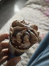 八喜冰淇淋 甜筒组合装 巧克力口味冰淇淋 68g*5支 脆皮甜筒 实拍图