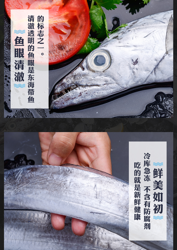 正宗舟山小眼睛带鱼3指宽大带鱼段东海海鲜刀鱼段新鲜海鲜400g/包