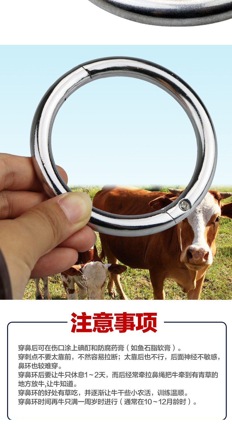 牛鼻子铁环图片