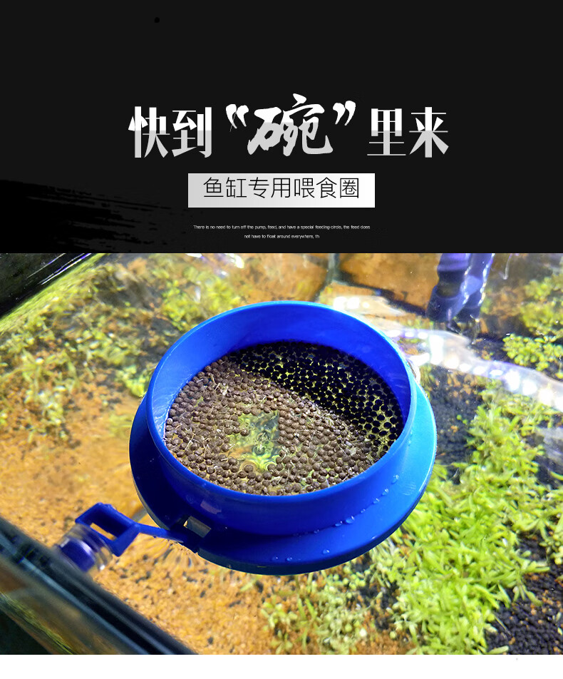 yee意牌餵食器餵食圈魚食投餵圈投食圈水族箱漂飼料浮餵食圈魚兒餵食