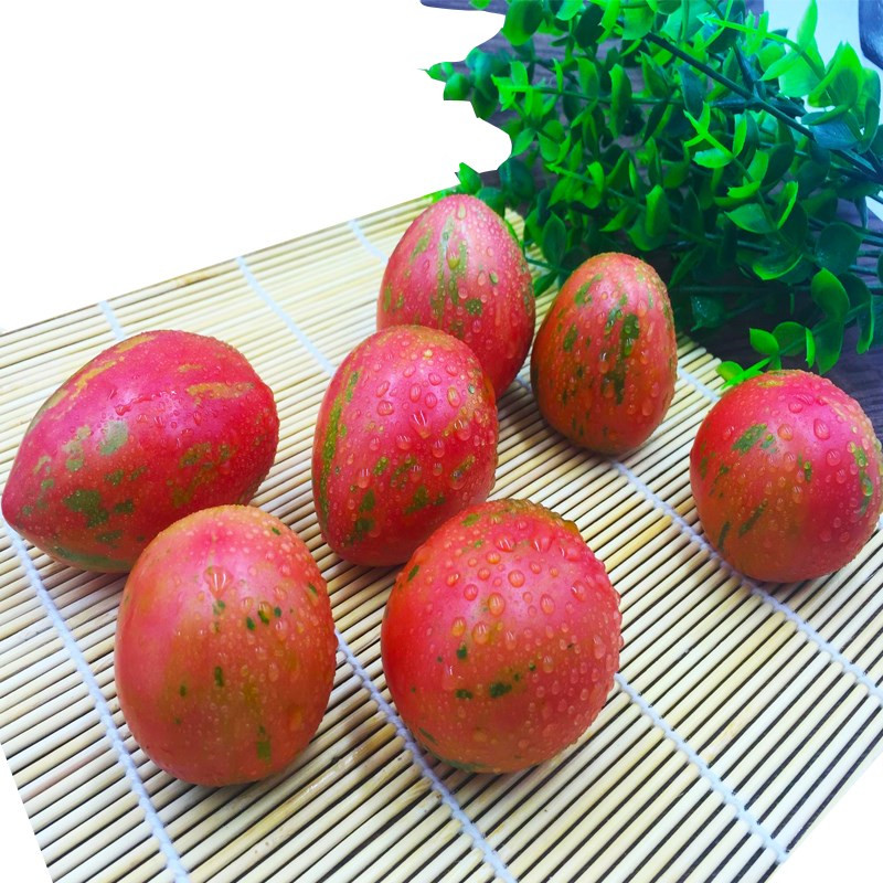 皮球柿子东北花皮西红柿虎皮小番茄铁皮柿子新鲜蔬菜水果8斤