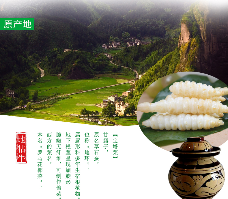 重庆黔江特产蓬江地牯牛400g5袋宝塔玉珠地环儿山椒味下饭泡菜螺丝菜