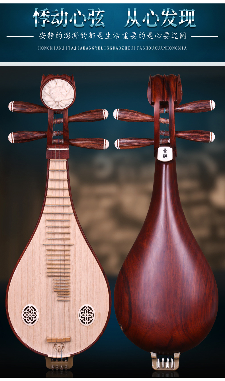 依之木星海乐器8414酸枝木柳琴柳琴民族乐器初学用琴