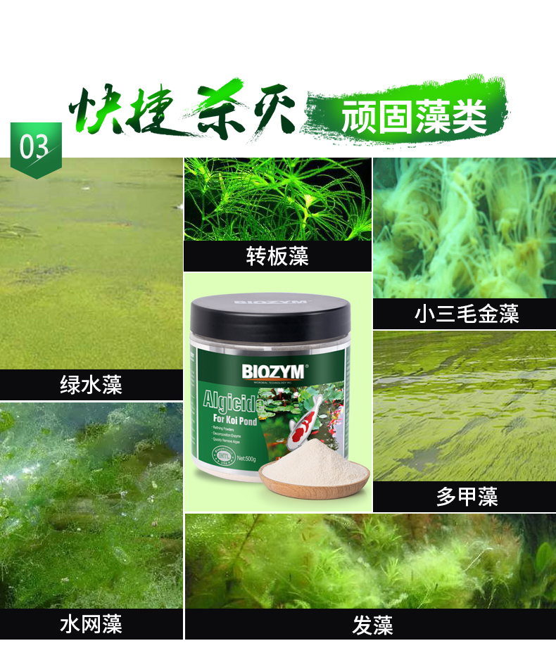 百因美鱼池除藻剂不伤鱼锦鲤池塘鱼缸养鱼用品灭绿藻除清苔去藻剂锦鲤