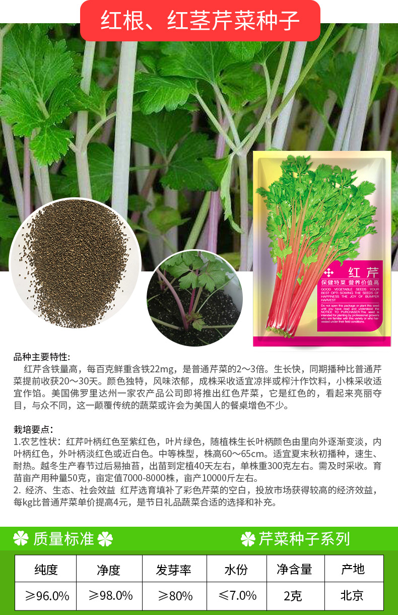 凤鸣雅世 芹菜种子西芹籽种四季芹菜种籽小芹菜播种春夏秋冬季种青菜