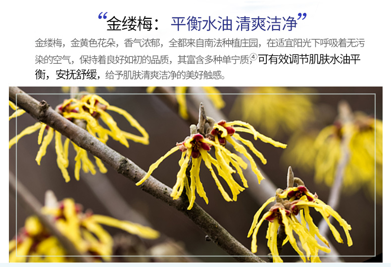 florihana馥家法国f家金缕梅纯露舒缓促愈清洁收敛保持肌肤年轻态 500