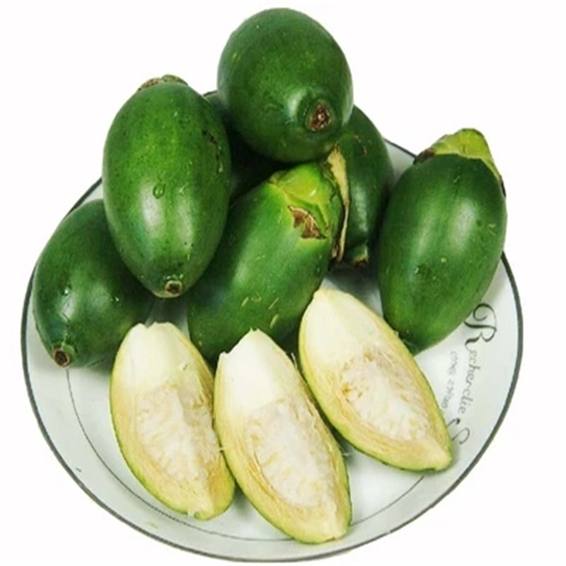 春光岛生槟榔 水果槟榔果 500g 青生青果 青槟榔果 单独槟榔(不带配料