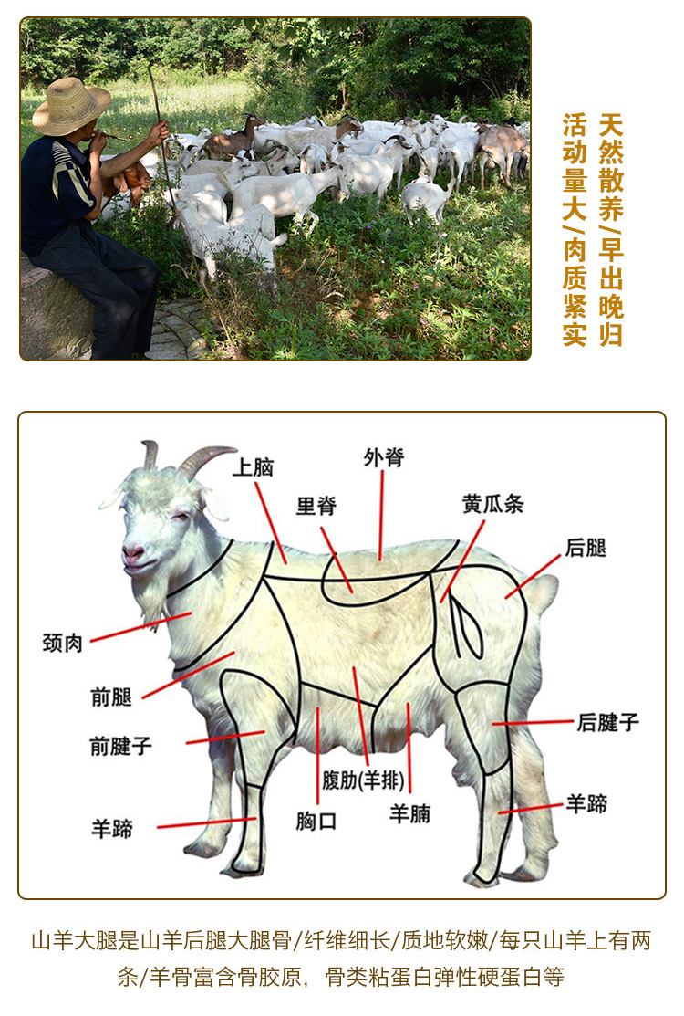 带皮羊肉鼎鸣羊肉带皮农家散养山羊烤羊腿火锅食材羊后腿三斤羊后腿