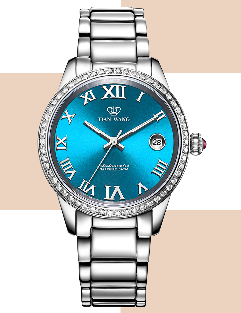 天王表(tianwang)手表女表机械表钢带镶钻女士手表生日礼物51057 气质