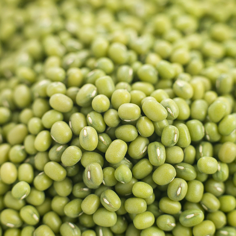 特级农家绿豆非转基因绿小豆五谷杂粮清热必备350g克 买二送一